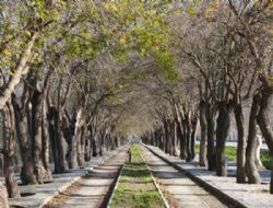 SELUK DUTLU YOL PROJES HAYATA GEYOR