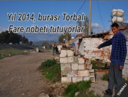 Torbal 2014 manzaras